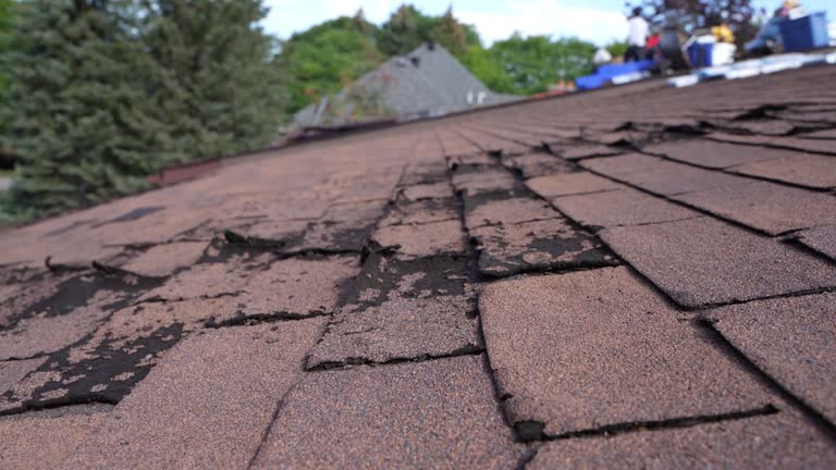 Friend, NE Roofing Services Company